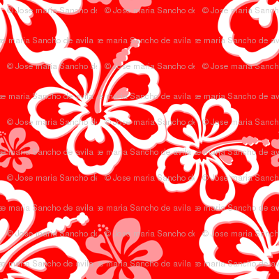 Red-Orange Hawaiian Flowers Pattern