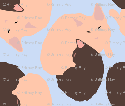 Kittens on Blue