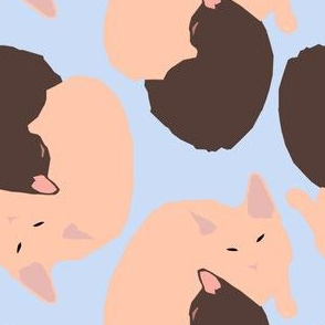 Kittens on Blue