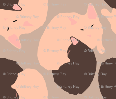 Kittens on Taupe
