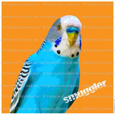 budgie smuggler cushion panel