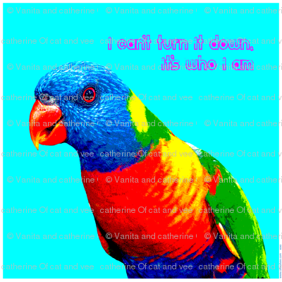 cam the lorikeet cushion panel