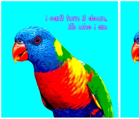 Cam_the_lorikeet