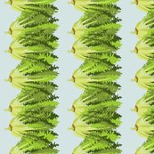 Endive_blue_shop_thumb