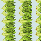 endive_blue