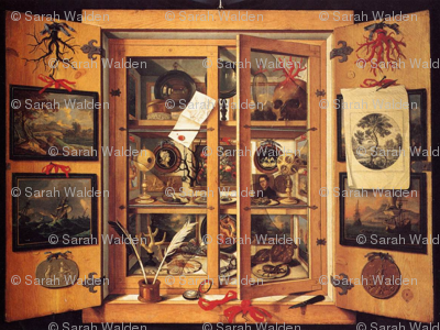 Cabinet Of Curiousities by Domenico Remps