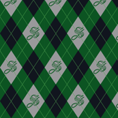 Slytherin House Argyle