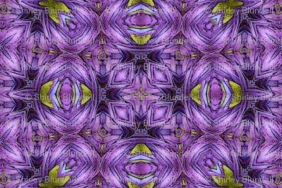 Roving Pattern1