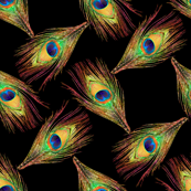 Peacock Feathers - Single - Weave