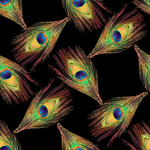 Peacock Feathers - Single - Weave