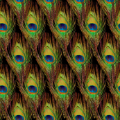 Peacock Feathers  -Single - Diamonds