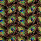 Peacock Feathers - Single - ZigZag