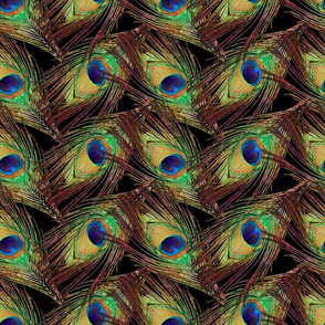 Peacock Feathers - Single - ZigZag