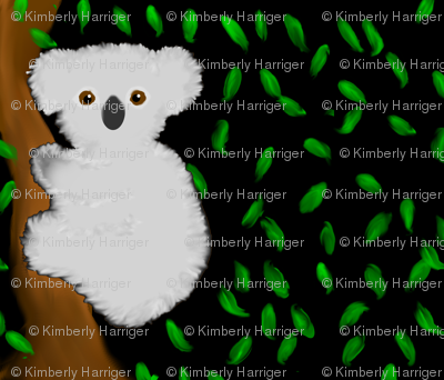 Koala
