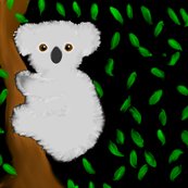 Rkoala_shop_thumb