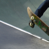 Thrasher, large