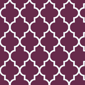 Raspberry Ice Ogee
