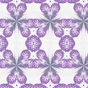 Rrimg_0301