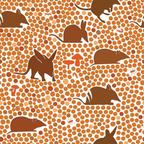 Bilbies and Bandicoots