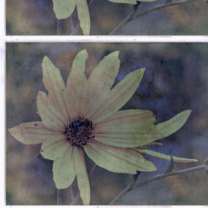Wildflower and Bee