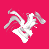 Twisted Magnolia on Pink