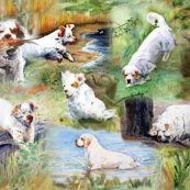 Clumber Spaniels 1 by Jan Irving 