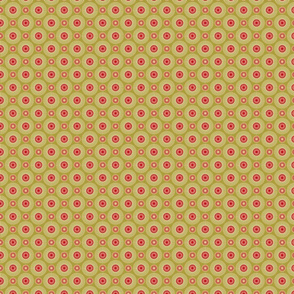 Hakea green small