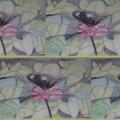 R100_1119_shop_thumb