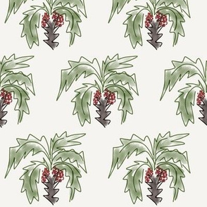 Palm tree
