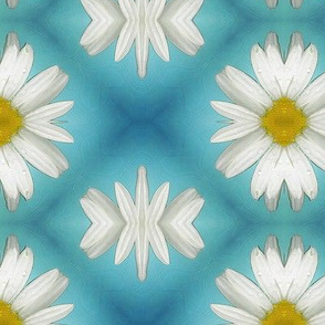 Daisy