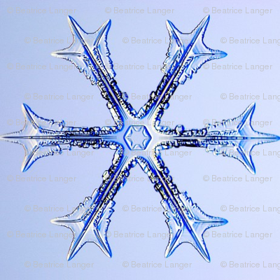 Schnee_3