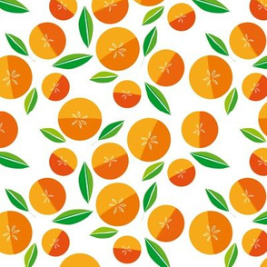 oranges on white