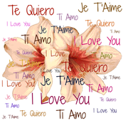 Love Lett...