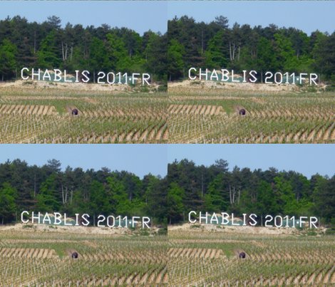 Rchablis_2011_ftqtr_18h_shop_preview