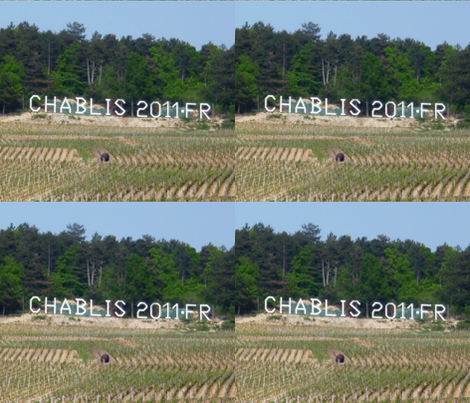 Chablis Wine Landscape, France fabric by susaninparis on Spoonflower - custom fabric