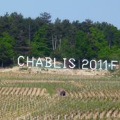 Rchablis_2011_ftqtr_18h_shop_thumb