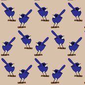 Rrrrrrrrrrrrfairy-wrens_shop_thumb