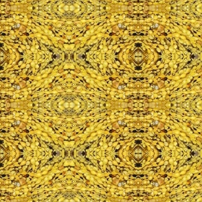 Yellow seaweed