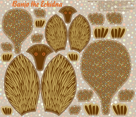 Banjo the Echidna