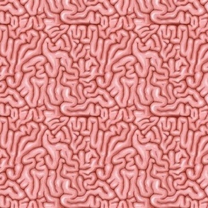 Tiny natural pink brains