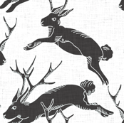 black_jackalopes