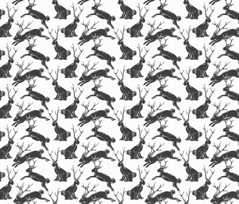 Rblack_jackalopes_shop_preview