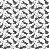 Rblack_jackalopes_shop_thumb