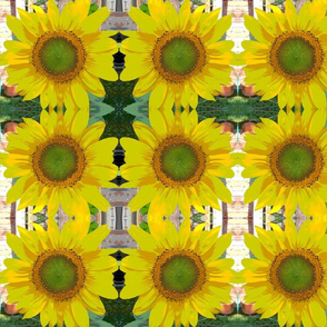 Cartoon Sunflower