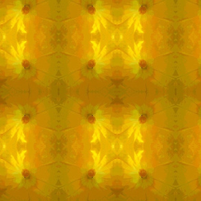 Cartoon Squash Blossom