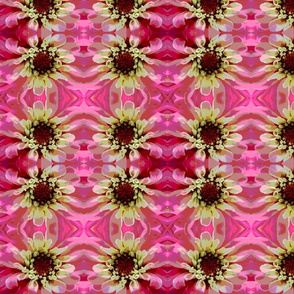 Cartoon Bright Pink Zinnia