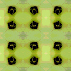 Cartoon Okra Blossom