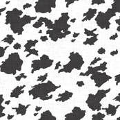 birch_palomino