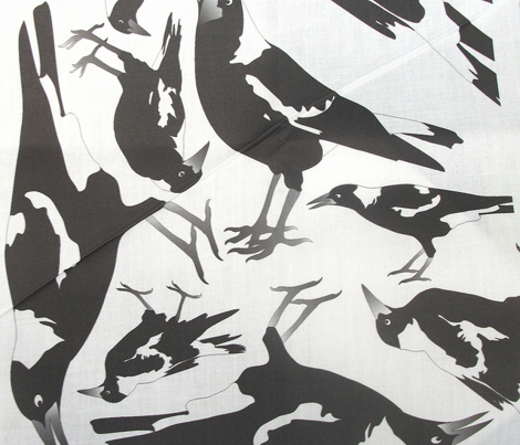 Magpie_4