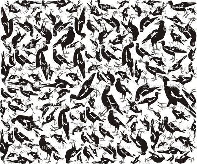 Magpie Multi-Directional